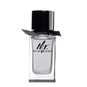 Burberry Mr. Burberry EDT 100 ml Men's Imported Perfume Man