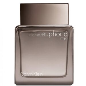 Calvin Klein Euphoria Intense EDT 100 ml Men's Perfume Imported Man