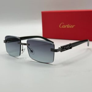 Cartier Imported Unisex Sunglasses G3654-VLL
