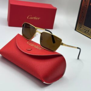 Cartier Brown Imported Unisex Sunglasses G3778