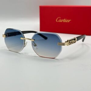 Cartier Blue Imported Unisex Eyewear G3670-VLL