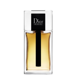 Dior Homme Eau de Toilette 100 ml Men's Imported Man