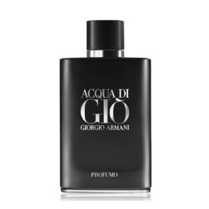 Giorgio Armani Acqua Di Gio Profumo 100ml Men's Imported Perfume Man