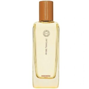 Hermes Ambre Narguile edt 100ml Imported Unisex