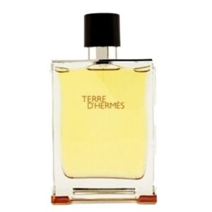 Terre D Hermes Edt 100ml Men's Imported Perfume Man