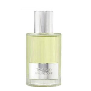 Tom Ford Beau De Jour EDP 100ML Imported Unisex