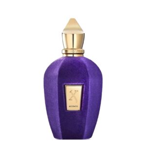 Xerjoff Accento - Eau De Parfum 100ML Imported Unisex