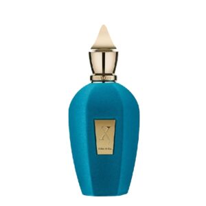 Xerjoff Unisex XERJOFF V Erba Pura 100 ml Edp Imported Perfume Unisex