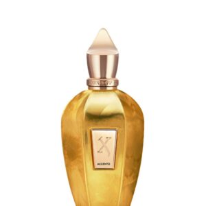 Xerjoff V Accento Overdose 100 ml Unisex EDP Perfume Imported Unisex